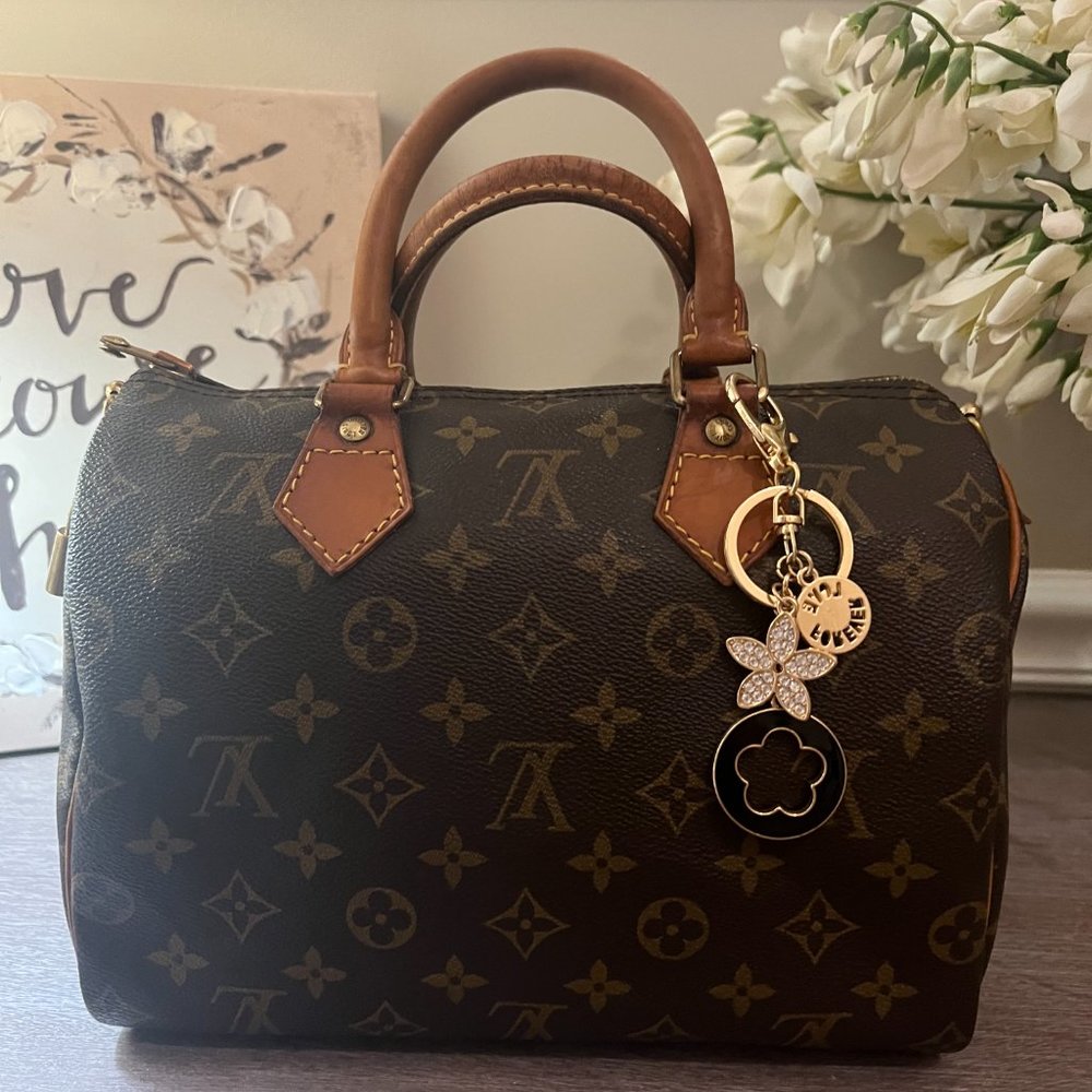 Louis Vuitton Monogram Speedy 25